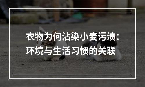 衣物为何沾染小麦污渍：环境与生活习惯的关联