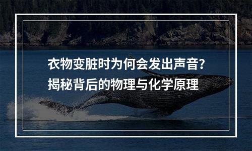 衣物变脏时为何会发出声音？揭秘背后的物理与化学原理
