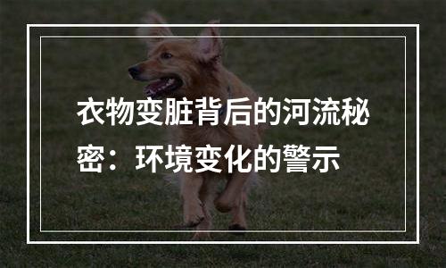 衣物变脏背后的河流秘密：环境变化的警示