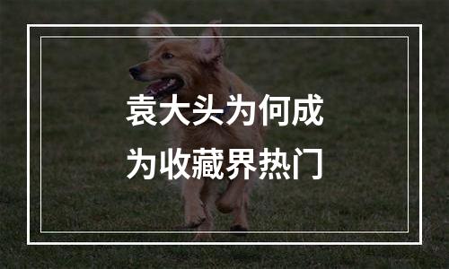 袁大头为何成为收藏界热门