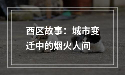 西区故事：城市变迁中的烟火人间