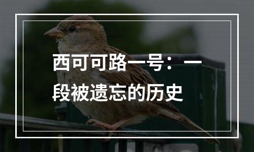 西可可路一号：一段被遗忘的历史