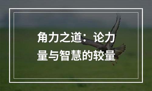 角力之道：论力量与智慧的较量