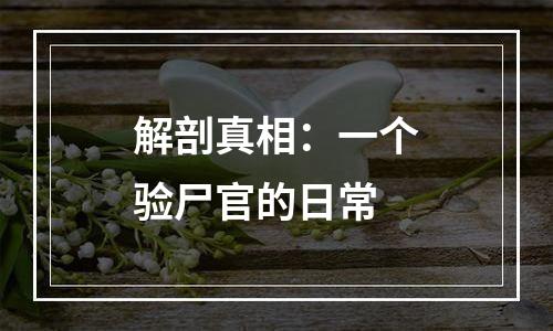 解剖真相：一个验尸官的日常