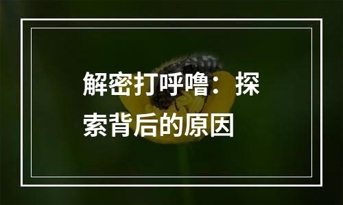解密打呼噜：探索背后的原因