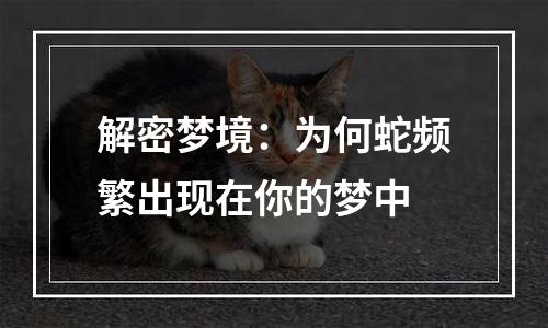 解密梦境：为何蛇频繁出现在你的梦中