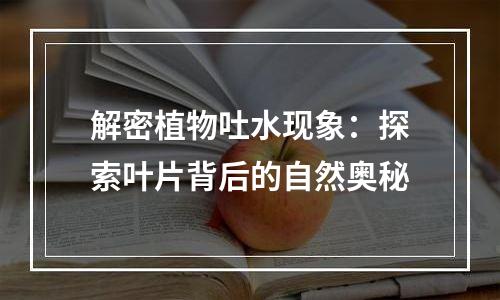 解密植物吐水现象：探索叶片背后的自然奥秘