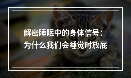 解密睡眠中的身体信号：为什么我们会睡觉时放屁