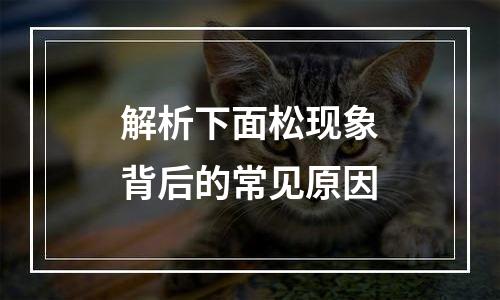 解析下面松现象背后的常见原因