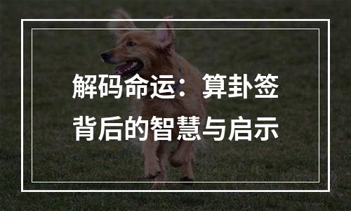 解码命运：算卦签背后的智慧与启示