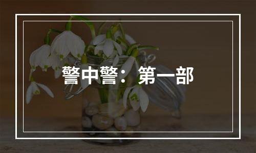 警中警：第一部