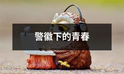警徽下的青春
