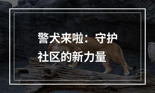 警犬来啦：守护社区的新力量