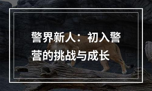 警界新人：初入警营的挑战与成长