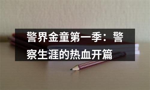 警界金童第一季：警察生涯的热血开篇