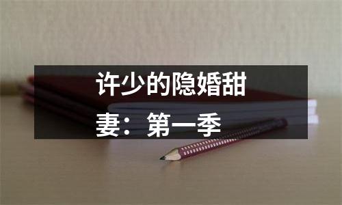 许少的隐婚甜妻：第一季