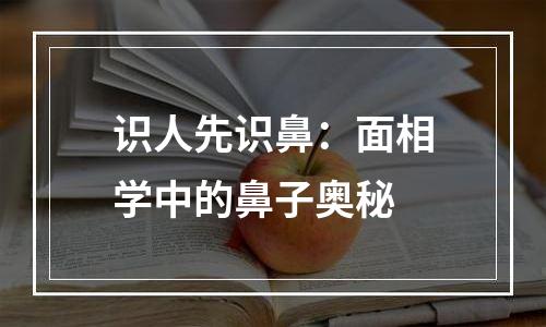 识人先识鼻：面相学中的鼻子奥秘