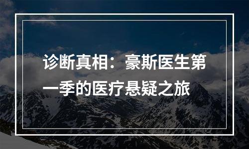 诊断真相：豪斯医生第一季的医疗悬疑之旅