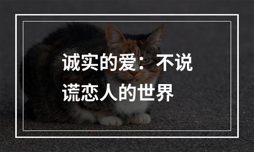 诚实的爱：不说谎恋人的世界