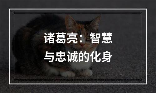 诸葛亮：智慧与忠诚的化身