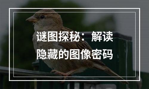 谜图探秘：解读隐藏的图像密码