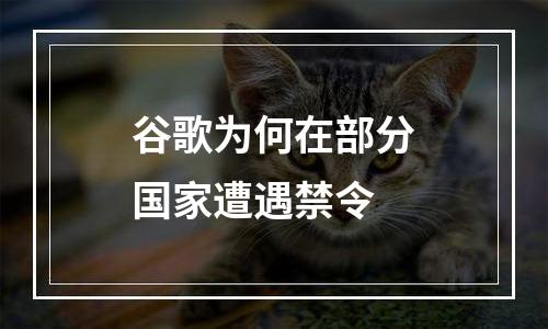 谷歌为何在部分国家遭遇禁令