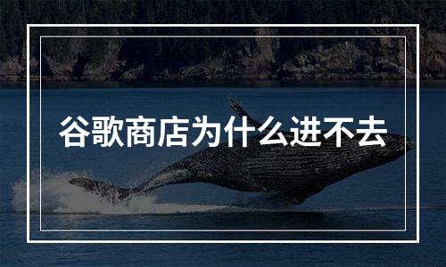 谷歌商店为什么进不去