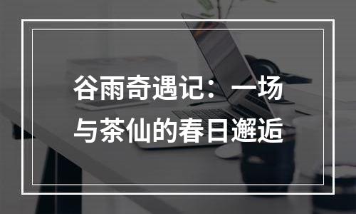 谷雨奇遇记：一场与茶仙的春日邂逅