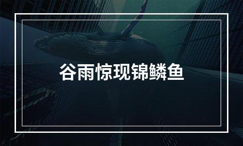 谷雨惊现锦鳞鱼