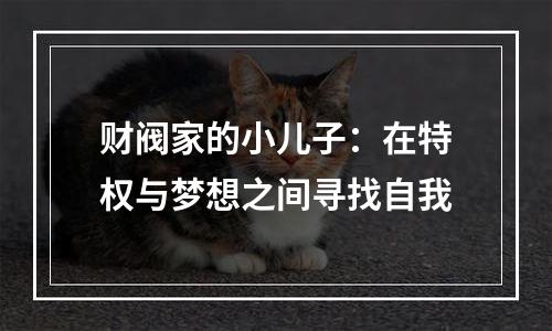 财阀家的小儿子：在特权与梦想之间寻找自我