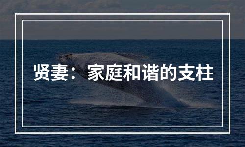 贤妻：家庭和谐的支柱