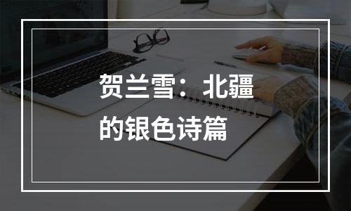 贺兰雪：北疆的银色诗篇