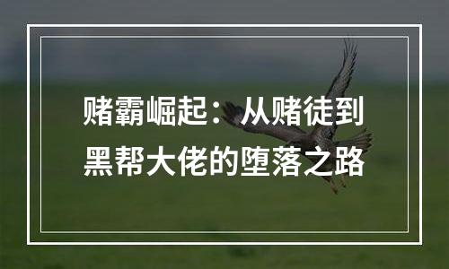 赌霸崛起：从赌徒到黑帮大佬的堕落之路
