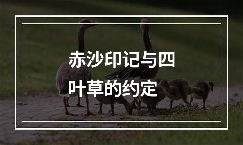 赤沙印记与四叶草的约定