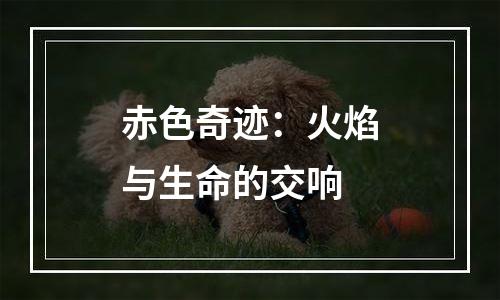 赤色奇迹：火焰与生命的交响