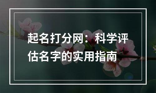 起名打分网：科学评估名字的实用指南