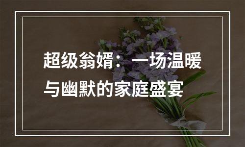 超级翁婿：一场温暖与幽默的家庭盛宴