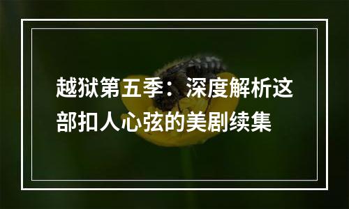 越狱第五季：深度解析这部扣人心弦的美剧续集