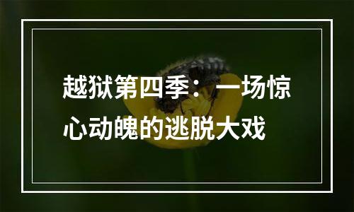 越狱第四季：一场惊心动魄的逃脱大戏