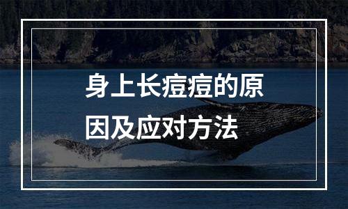身上长痘痘的原因及应对方法