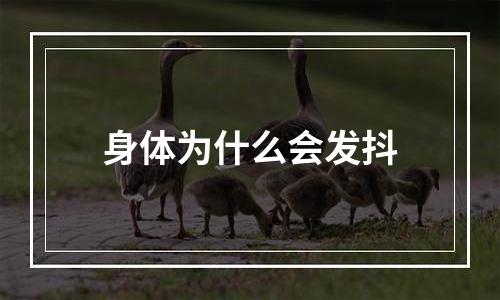 身体为什么会发抖