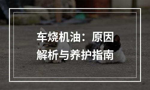 车烧机油：原因解析与养护指南