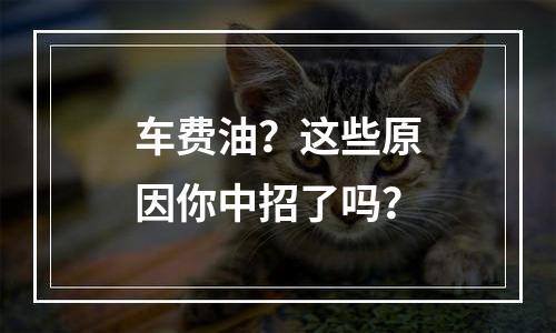 车费油？这些原因你中招了吗？
