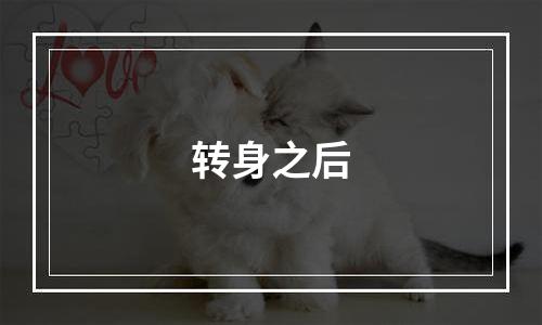 转身之后
