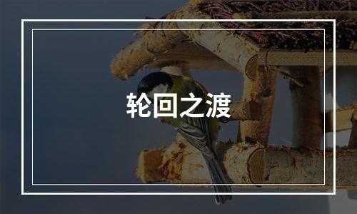 轮回之渡