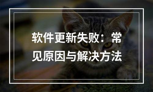 软件更新失败：常见原因与解决方法