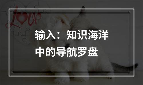 输入：知识海洋中的导航罗盘