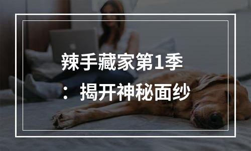 辣手藏家第1季：揭开神秘面纱