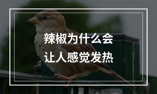 辣椒为什么会让人感觉发热
