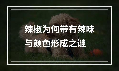 辣椒为何带有辣味与颜色形成之谜